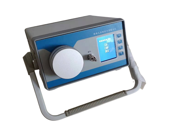 DP9000便携式露点仪