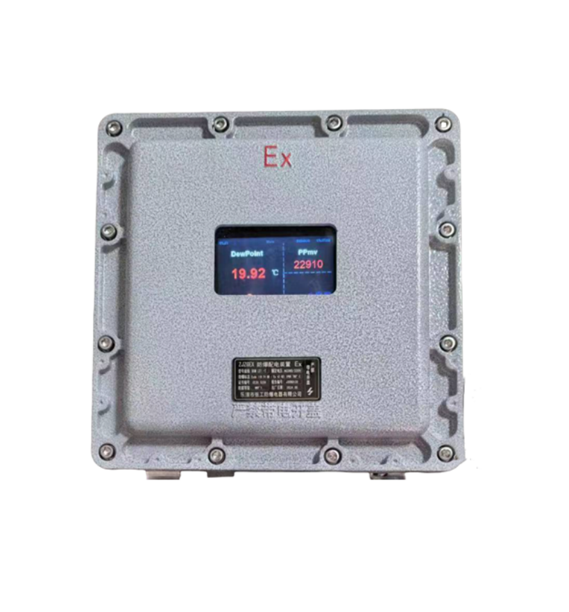 DP800天然气水露点分析系统